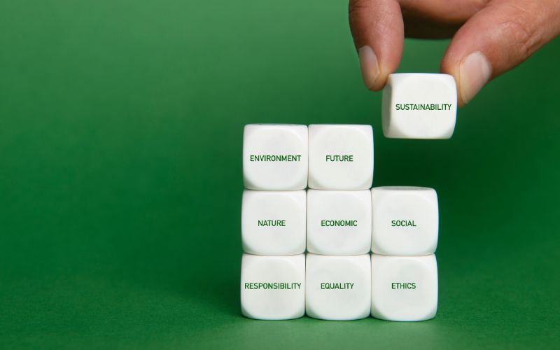 famous b corp companies