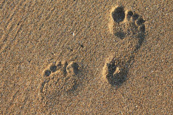 personal earth overshoot day