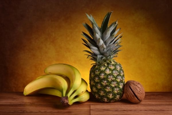 fabric made from food waste